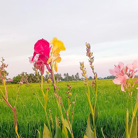 Kurau Inn Farmstay Kuala Kurau Exterior foto
